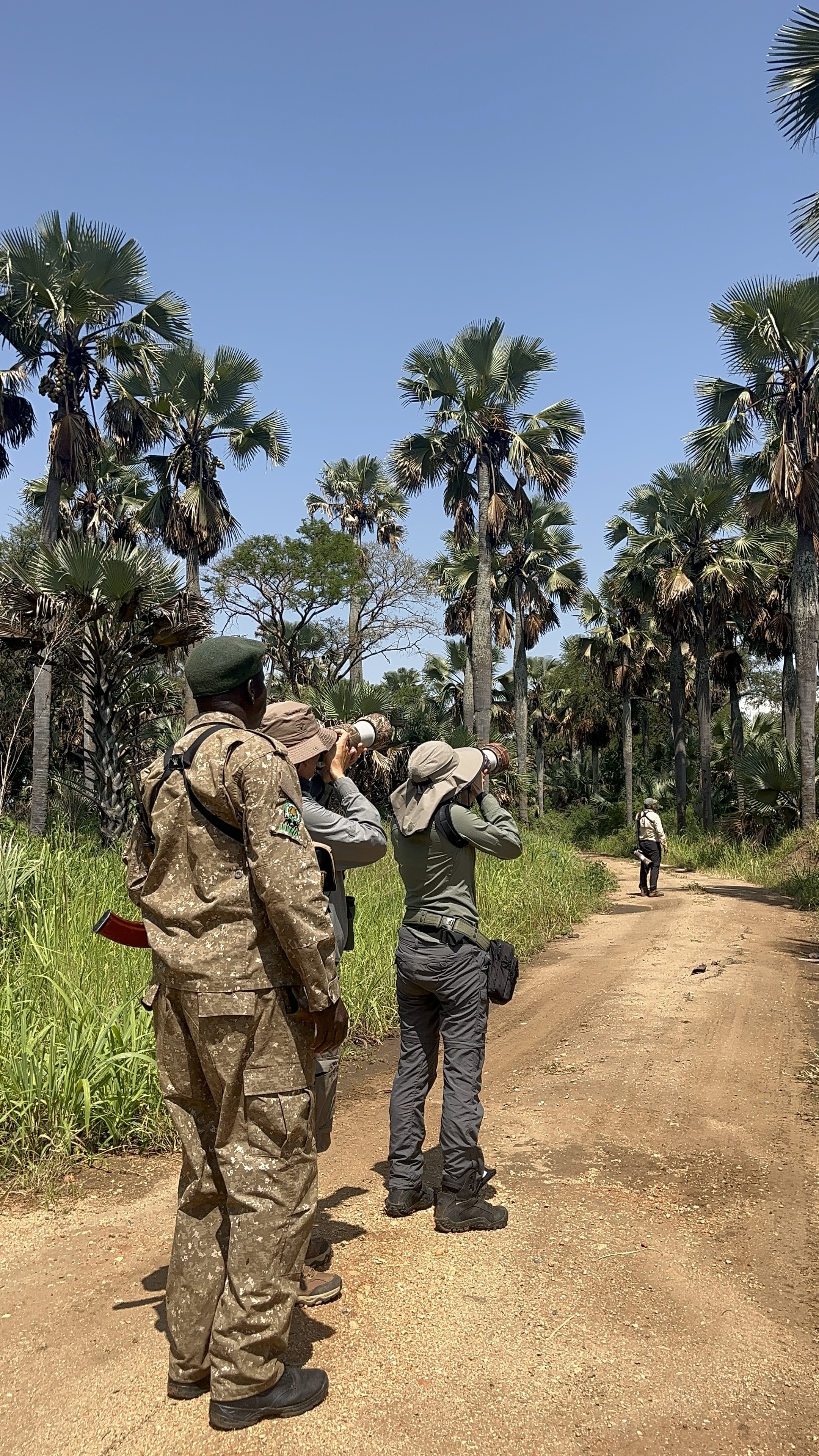 Travelers birdwatching with field guides
